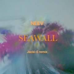 Neev - Seawall (Jacki-E Remix) V2