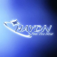 HAYDN - Feel You Now