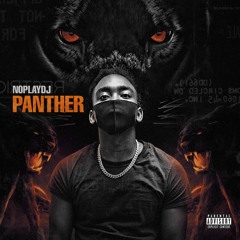 NoPlayDJ - Panther(Official)