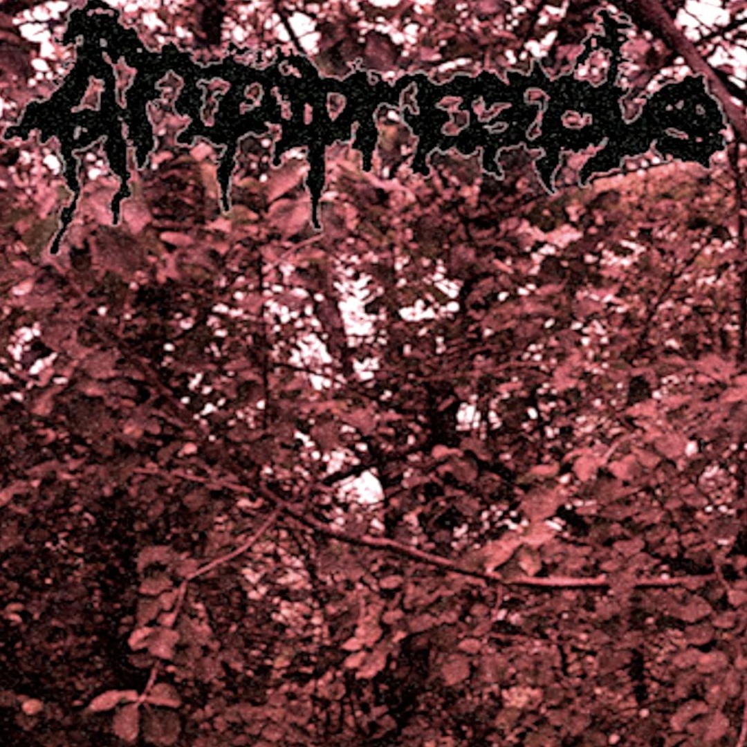 Stream First of many by Aripiprazole | Listen online for free on SoundCloud