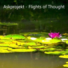 Askprojekt - Flights Of Thought