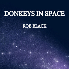 Donkeys In Space