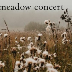 Meadow Concert_Naviarhaiku495