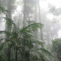 morning rain (with u)