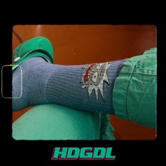 VIK - HDGDL