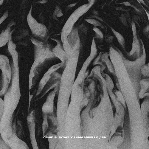 [NOFUTUREPREMIERE] Cawd Slaydaz & LomaasBello - 2C Pusi