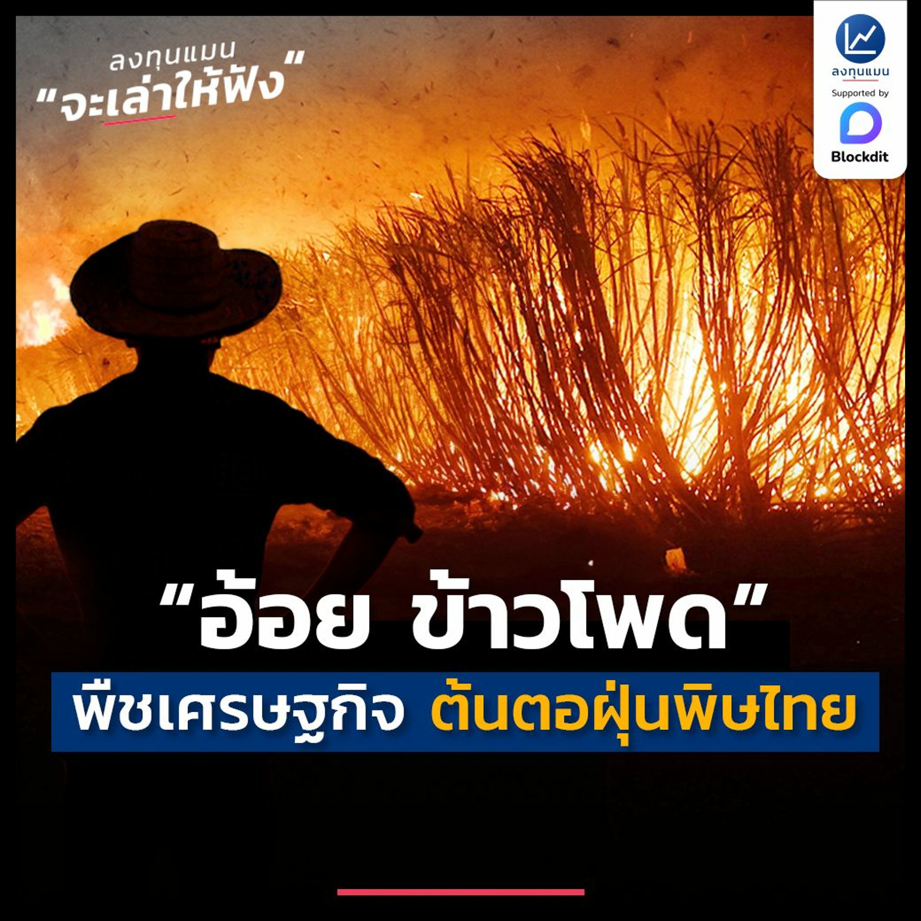 “อ้อย ข้าวโพด” พืชเศรษฐกิจ หนึ่งในต้นตอฝุ่นพิษ ที่คนไทยเจอทุกปี
