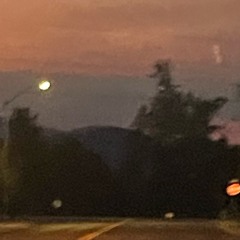 Bumpin Cash Carti Bacardi Cartier My Vision