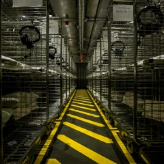 Dark Auditory (Acidupdub&spered)