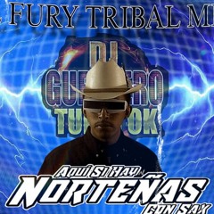 Tribal Fury Mix 2025