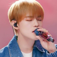 NCT/NCT DREAM's Chenle - Lee MuJin Service Compilation