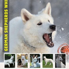 ✔Read⚡️ German Shepherds White Calendar 2024 - 2025: Three Years Calendar, Bank