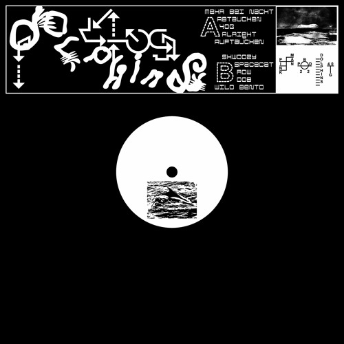 Dolphins - Wild Bento