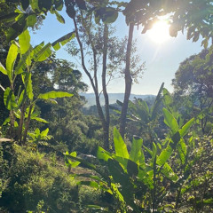 21 - Rainha Guerreira