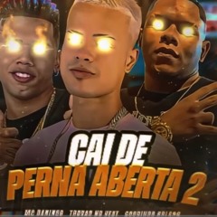 TROVÃO NO BEAT - GORDINHO BOLADO - MC DANINHO - CAI DE PERNA ABERTA 2 (vai rolar uma festinha ).mp3