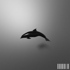 Black Dolphin [Orca Electronics]