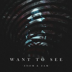 ZOOM x ZAM - WANT TO SEE