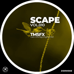 TMSFX - Lost in the Fog (Original Mix)
