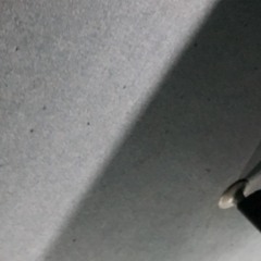 Sliced 43/xthahippyX