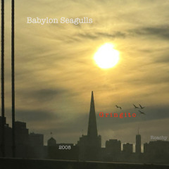 Babylon Seagulls