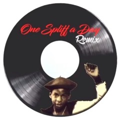 ONE SPLIFF A DAY (15k VIEWS FREEBIE)