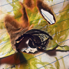 cold ya it hurts (oaenji)