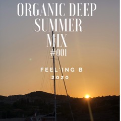 ORGANIC HOUSE - DEEP HOUSE - DOWNTEMPO -