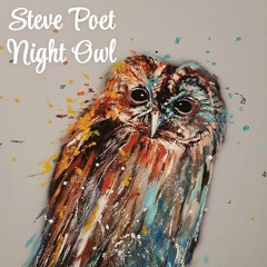 Night Owl