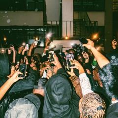 rbrbndrick x PLATYPUS - JASON MAJEK