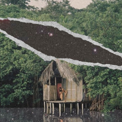 Bumps from the Swamp Vol.1 [Beattape]