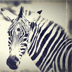 The Three-Eyed Zebra