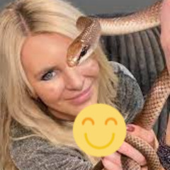 [ Vídeo Clip 18++ ] one girl 50 snake one girl 50 snake video one girl fifty
