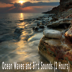 Ocean Waves and Bird Sounds (2 Hours)