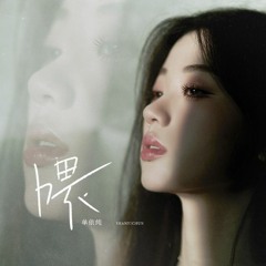 胡彦斌/单依纯 《不必在乎我是谁》 Không cần quan tâm tôi là ai - Hồ Ngạn Bân/Thiện Y Thuần