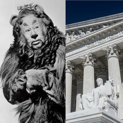 Lions, Tigers, Supreme Court – Oh My!