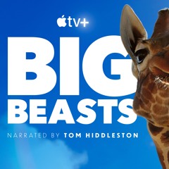 Bears Fishing School... & Twerking - Big Beasts - Apple TV+