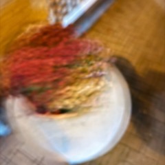 button in my wardrobe