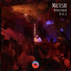 Maltesar @Beate Barfuß, 09.10.22 | 07-09 pm