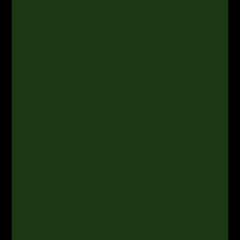 GREEN Ft. 19