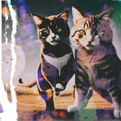 Hank Sola & Fraenk Darko - A Sentimental Hate Song