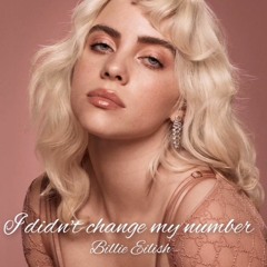 Billie Eilish - I Didn't Change My Number (Official Audio) (128 Kbps)