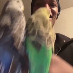 #Pick