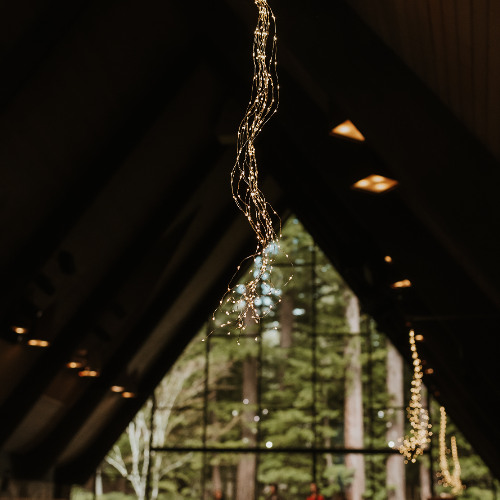 8.10.25 - Message: Creation and Labor—The Sacred Rhythm of Sabbath and Rest