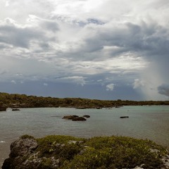 on an island