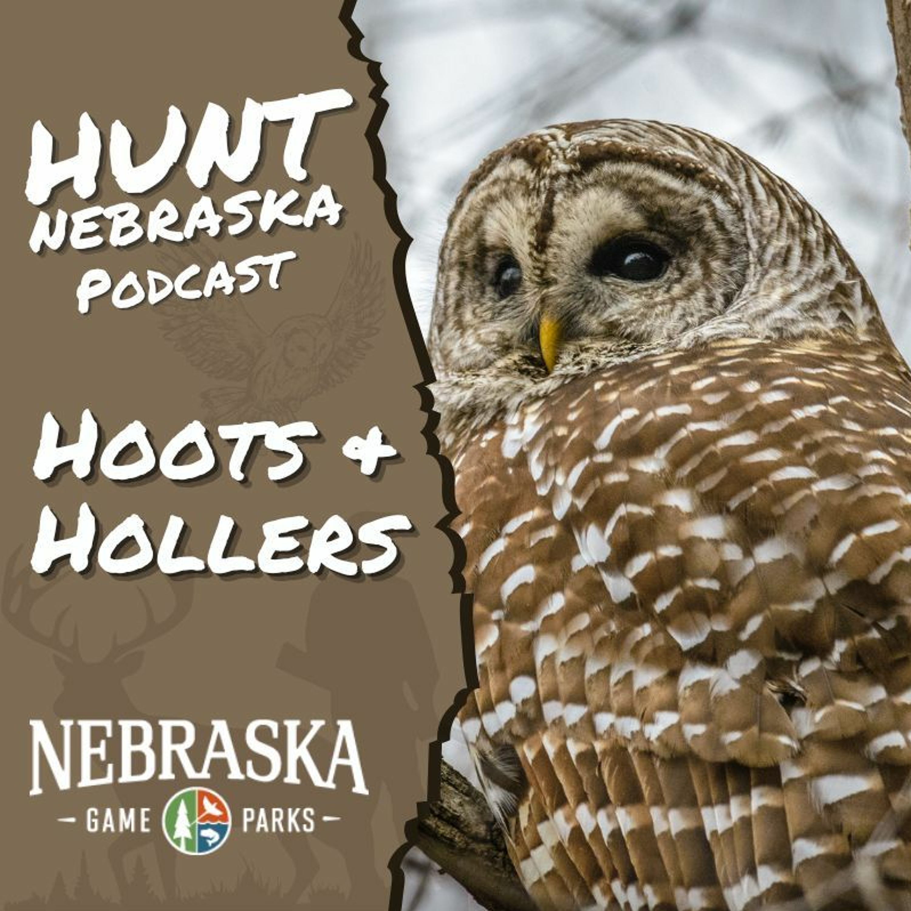 Owl Hunting & unHappy Hunters