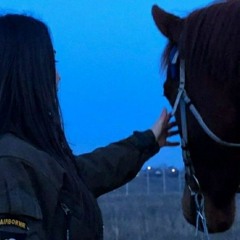 حِصاني كانَ دَلّالَ المَنايا - عنترة بن شداد