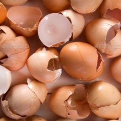 Crawling Through Eggshells