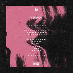 WLS30 - Underground Warriors EP Vol. 5 - Various Artists