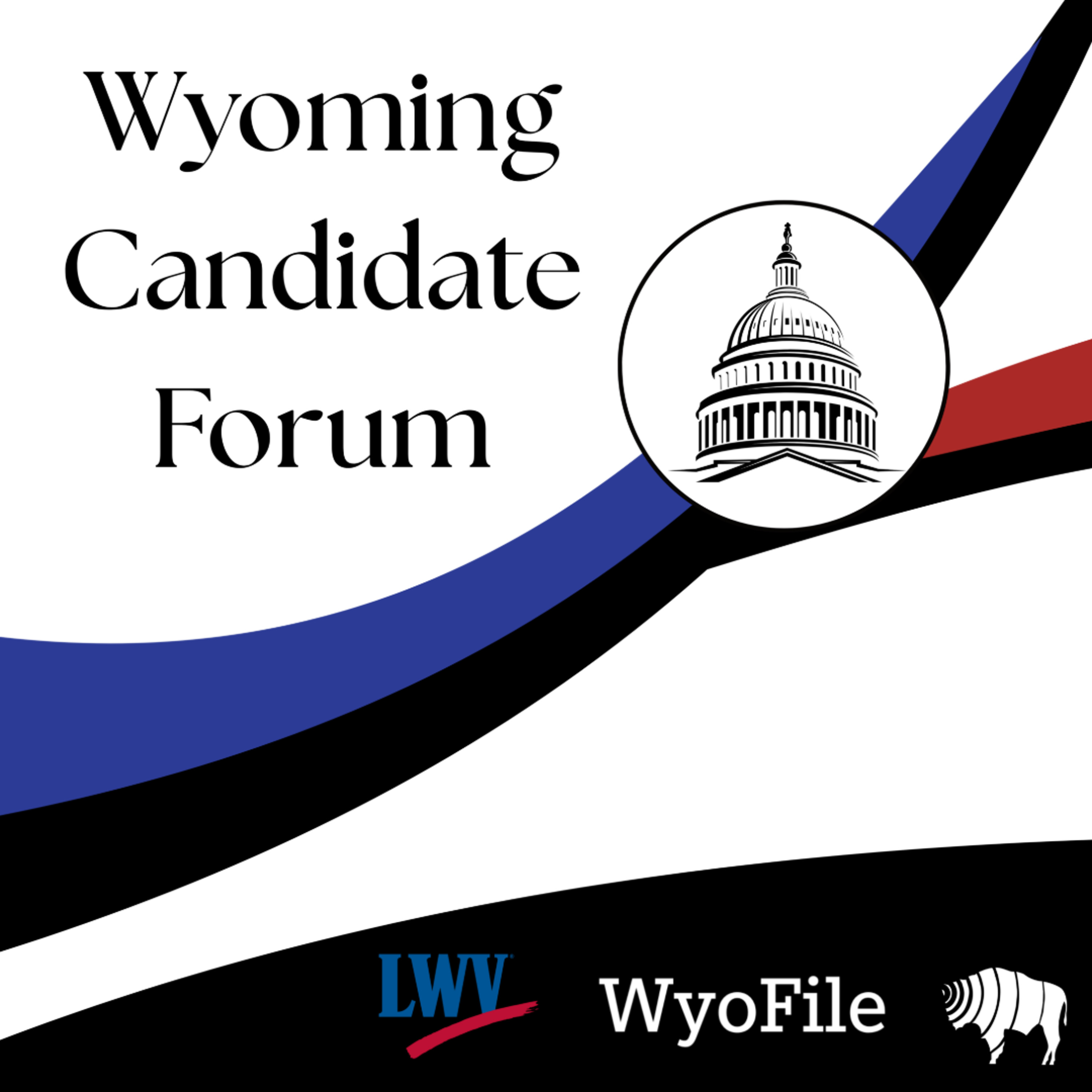 US Senate Forum Dem episode artwork