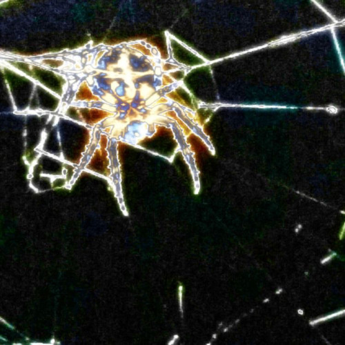 𝐋 𝐀 𝐕 𝐀 𝐆 𝐈 𝐑 𝐋